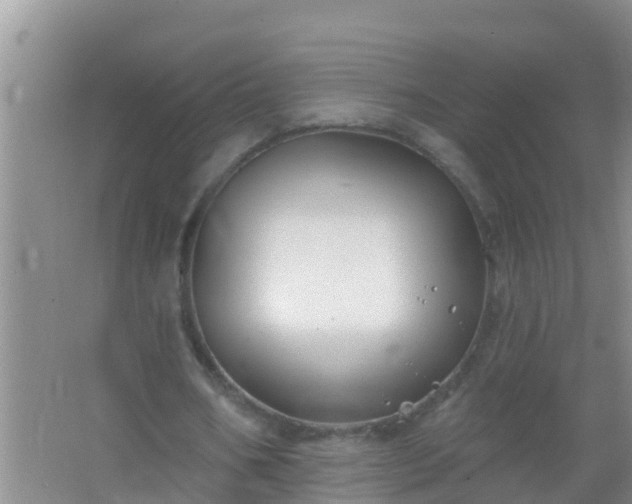 X0000067490578200604150044