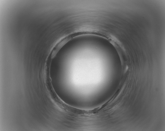 X0000067490580200604150044