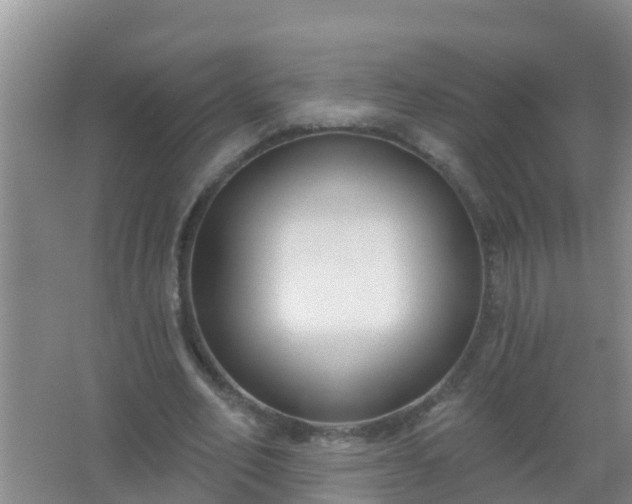 X0000067490582200604150044