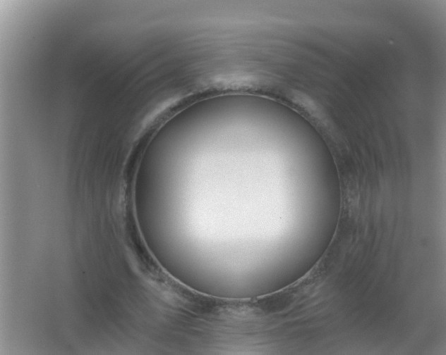 X0000067490583200604150044