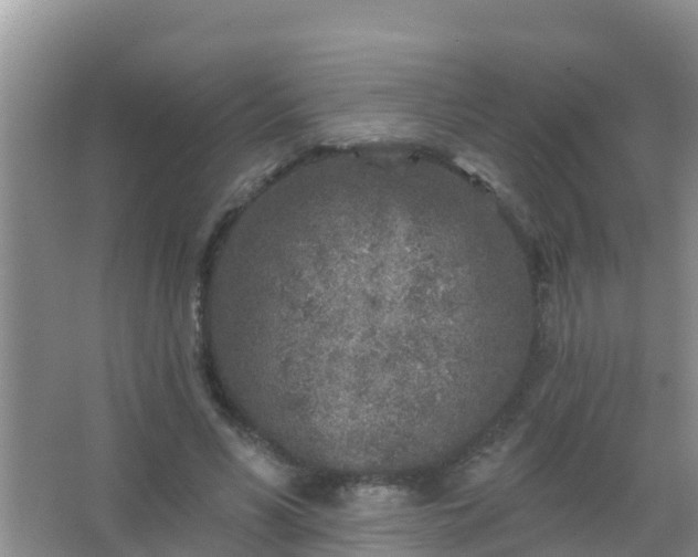 X0000067490590200604150044