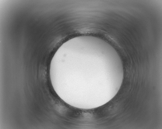 X0000067490592200604150044