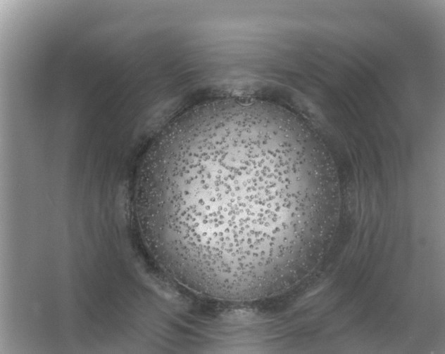 X0000067490594200604150044