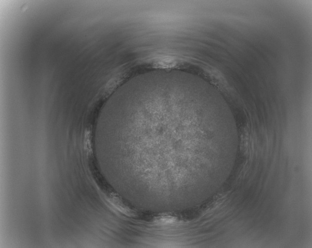 X0000067490598200604150044