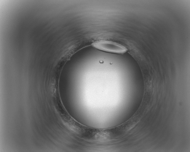 X0000067490599200604150044