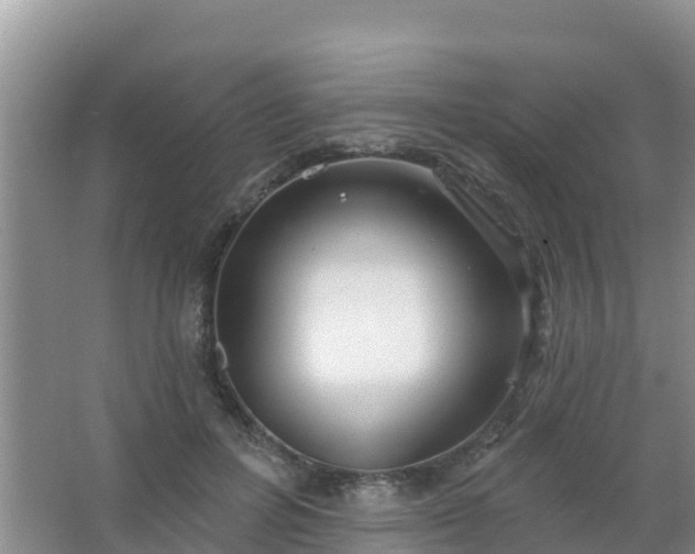 X0000067490600200604150044