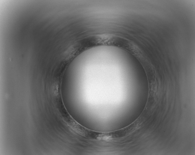 X0000067490602200604150044