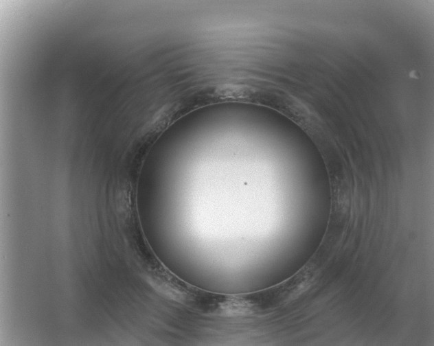 X0000067490603200604150044