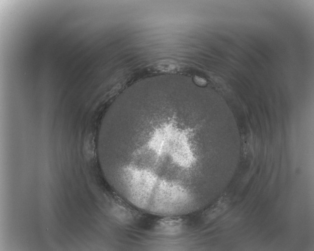 X0000067490606200604150044