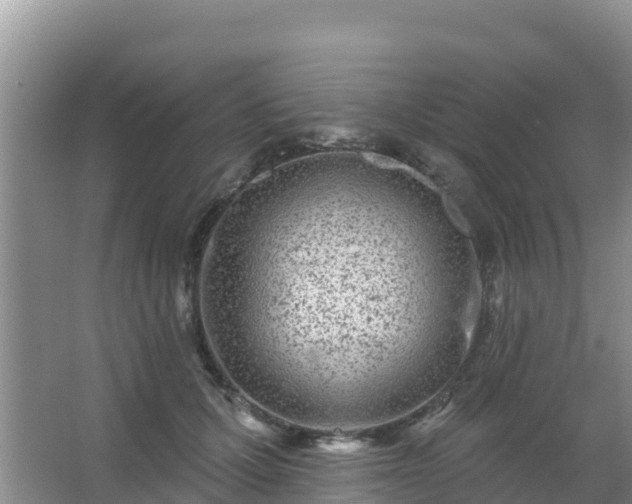 X0000067490607200604150044