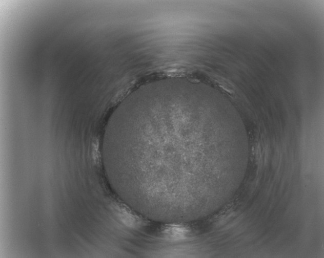 X0000067490610200604150043