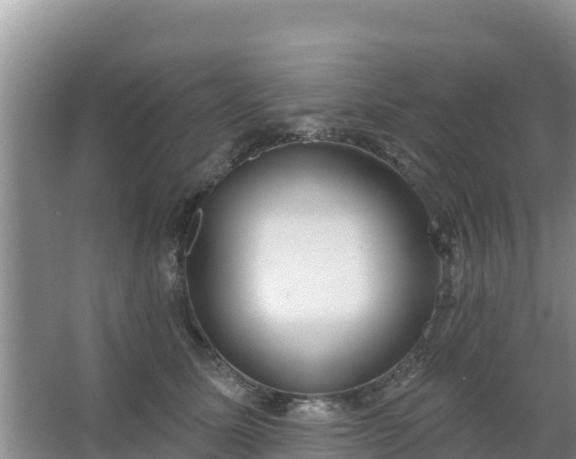 X0000067490611200604150043