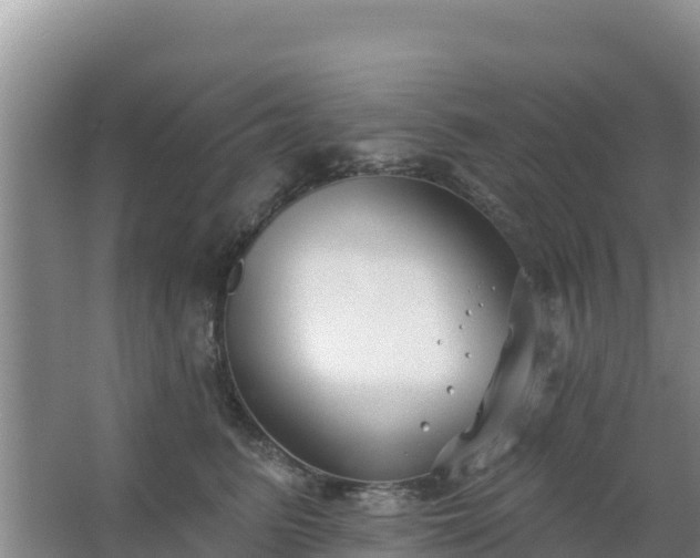 X0000067490615200604150043