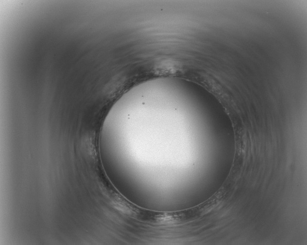 X0000067490616200604150043