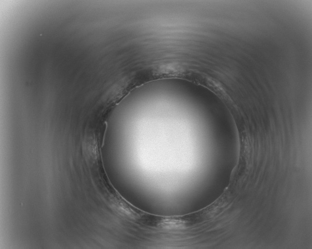 X0000067490617200604150043