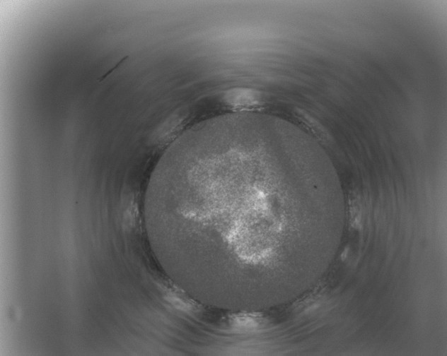 X0000067490618200604150043