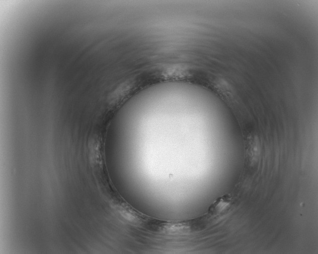 X0000067490619200604150043