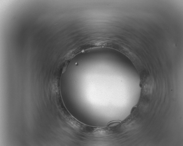 X0000067490620200604150043