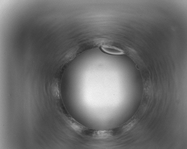 X0000067490622200604150043