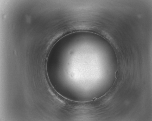 X0000067490625200604150042