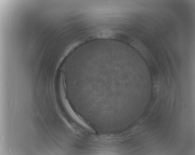 X0000067490626200604150042