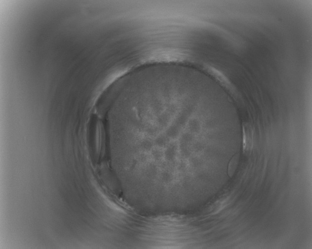 X0000067490627200604150042