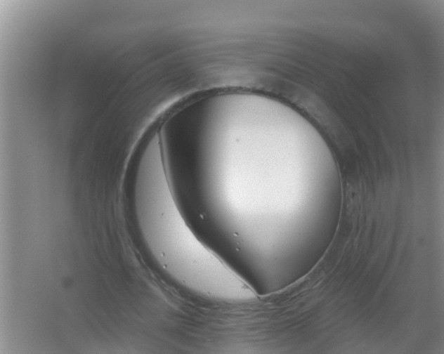 X0000067490628200604150042