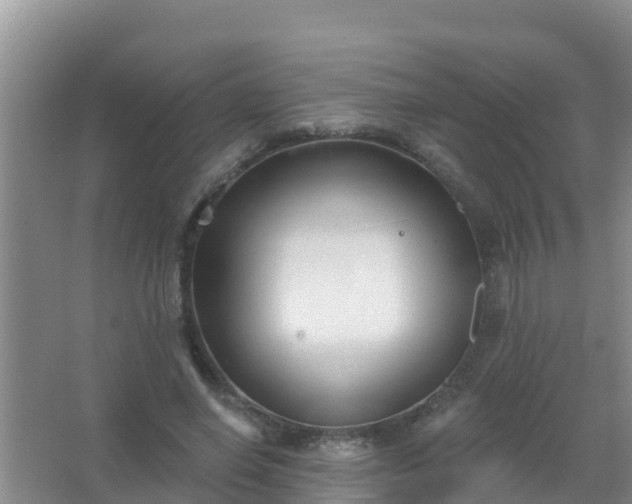 X0000067490638200604150043