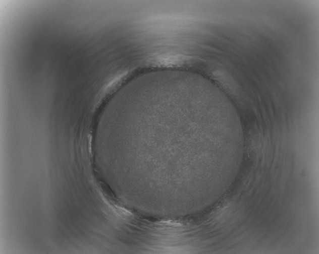 X0000067490640200604150043