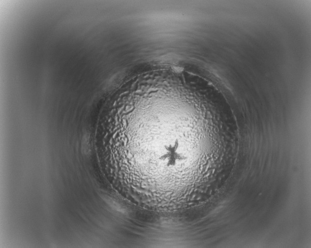 X0000067490641200604150043