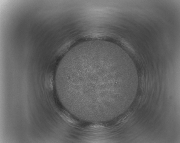 X0000067490644200604150043