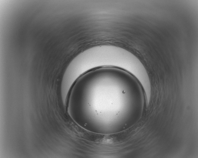 X0000067490647200604150043