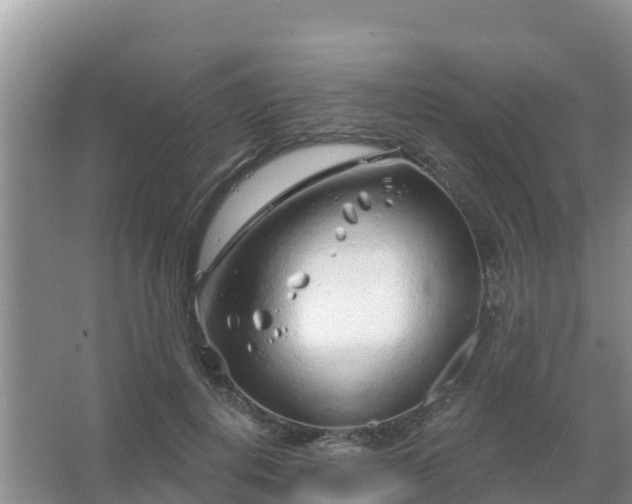 X0000067490648200604150043