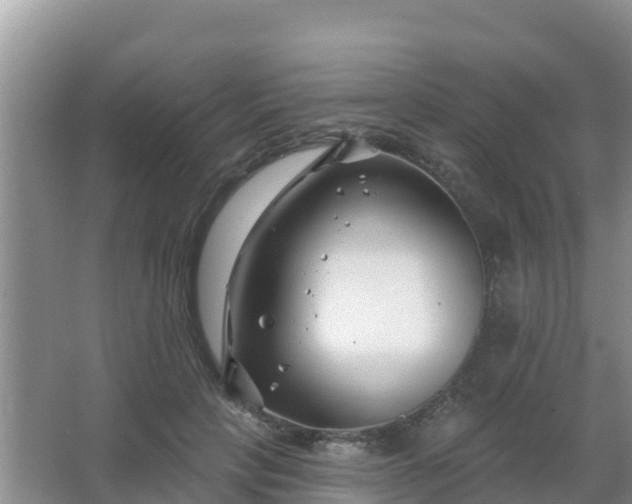 X0000067490649200604150043