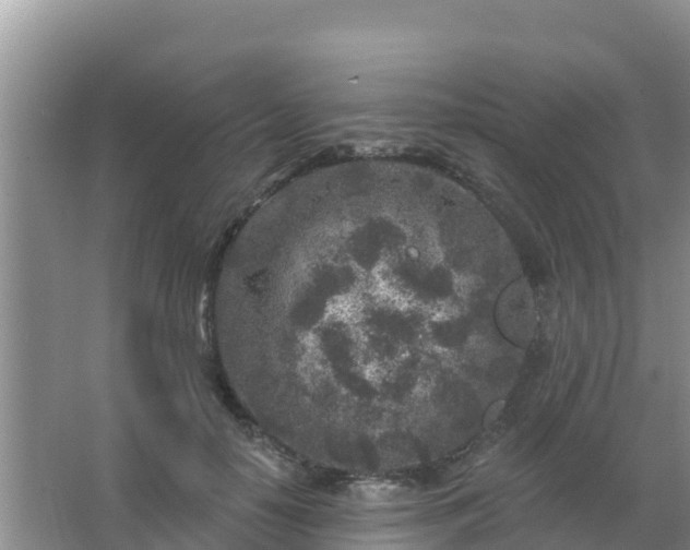 X0000067490650200604150043