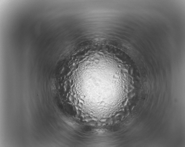 X0000067490654200604150043