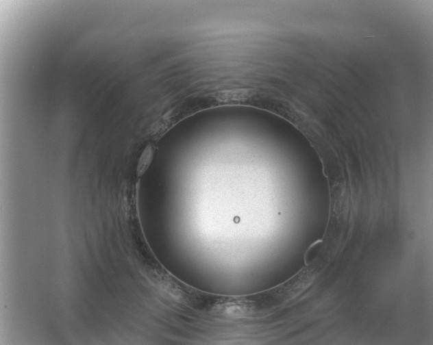 X0000067490655200604150043