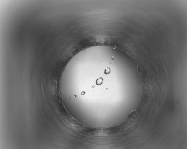 X0000067490656200604150043