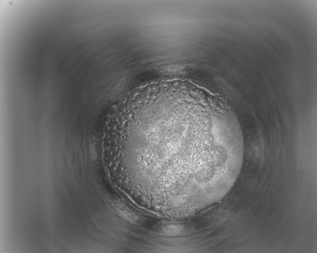 X0000067490658200604150043