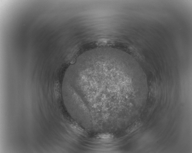 X0000067490659200604150043