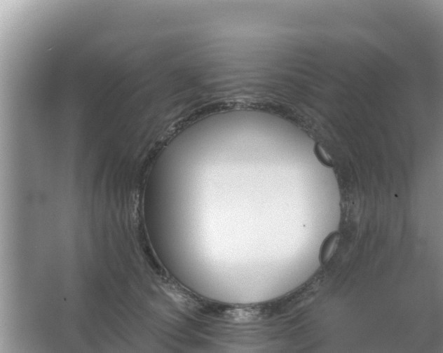 X0000067490660200604150043