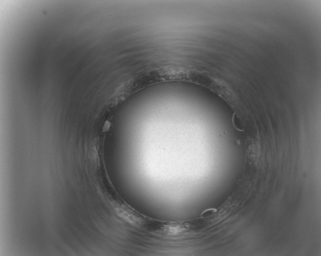 X0000067490662200604150043