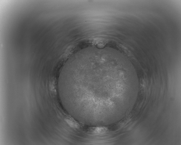 X0000067490663200604150043