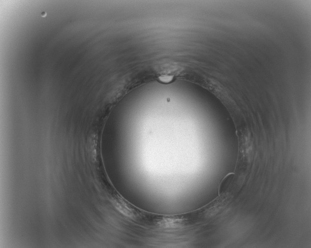 X0000067490664200604150043