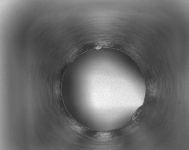 X0000067490665200604150043