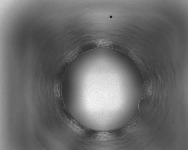 X0000067490666200604150043