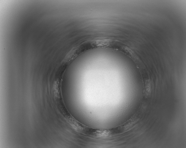 X0000067490667200604150043