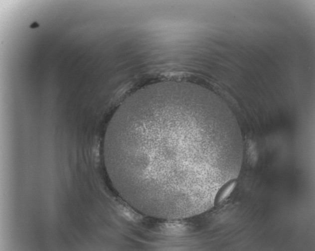 X0000067490668200604150043