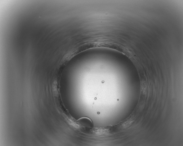 X0000067490670200604150043