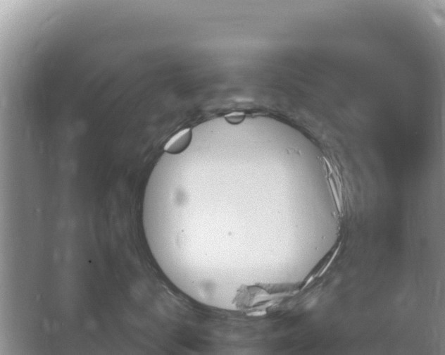 X0000067490672200604150043